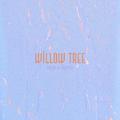 Willow Tree