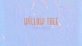 Willow Tree专辑