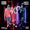 Skyy Vegas - Skyy Money