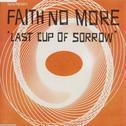 Last Cup of Sorrow专辑