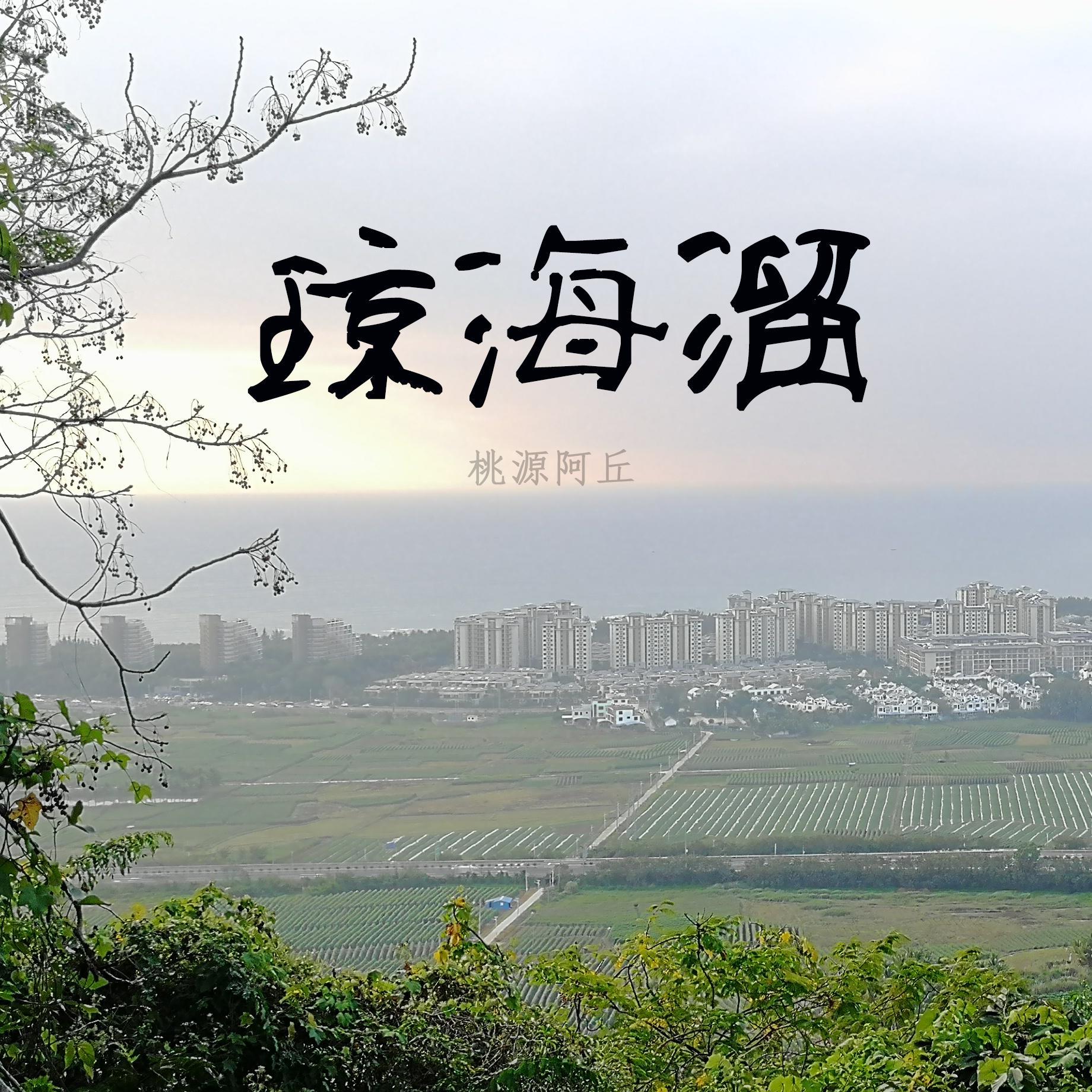 《海南话海南（第二辑）》