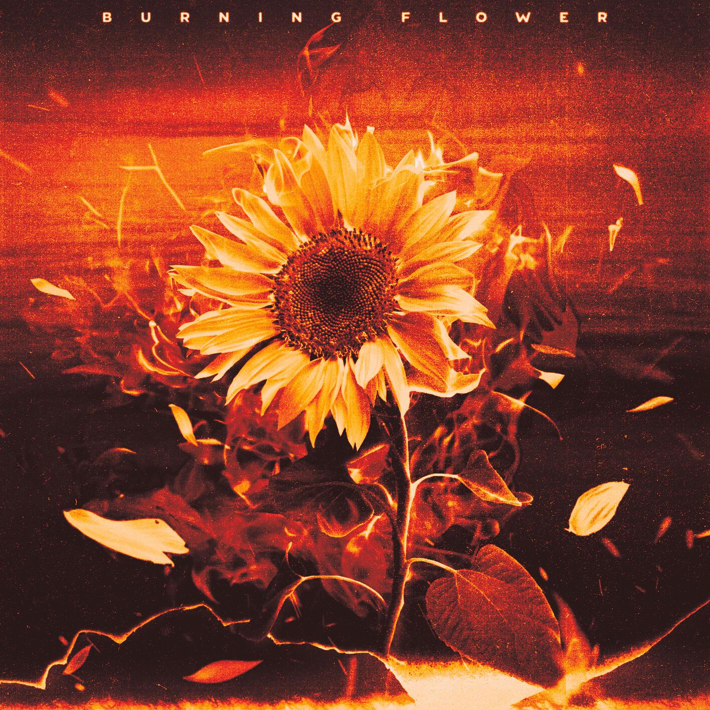 Burning Flower专辑