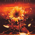 Burning Flower专辑