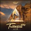Le Youth - I Will Leave A Light On (Tritonia 475) (Sultan + Shepard Lights Out Remix)