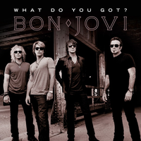 What Do You Got - Bon Jovi (karaoke Version)