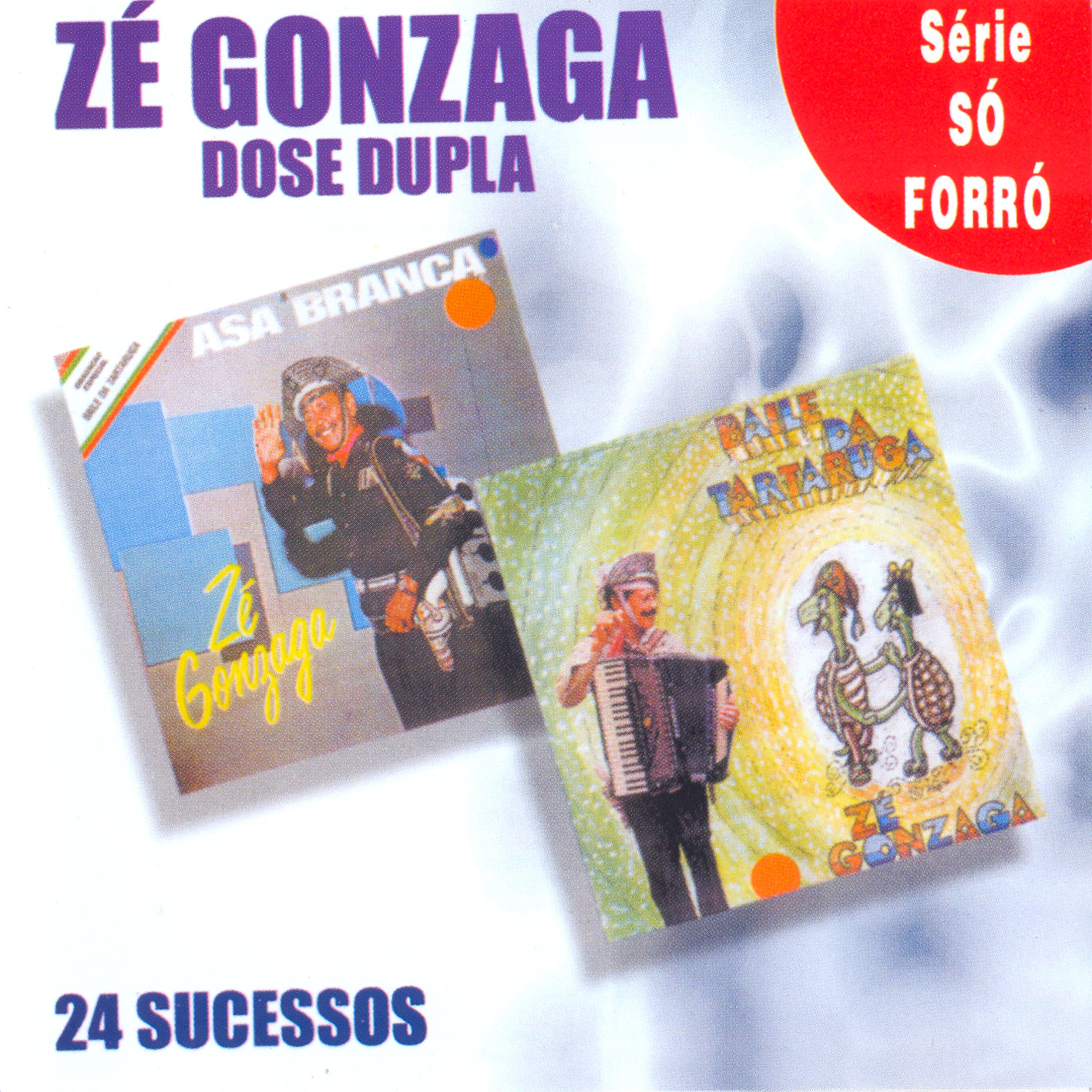 24 Sucessos - Dose Dupla