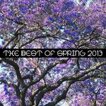 The Best of Spring 2013专辑