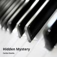 Hidden Mystery