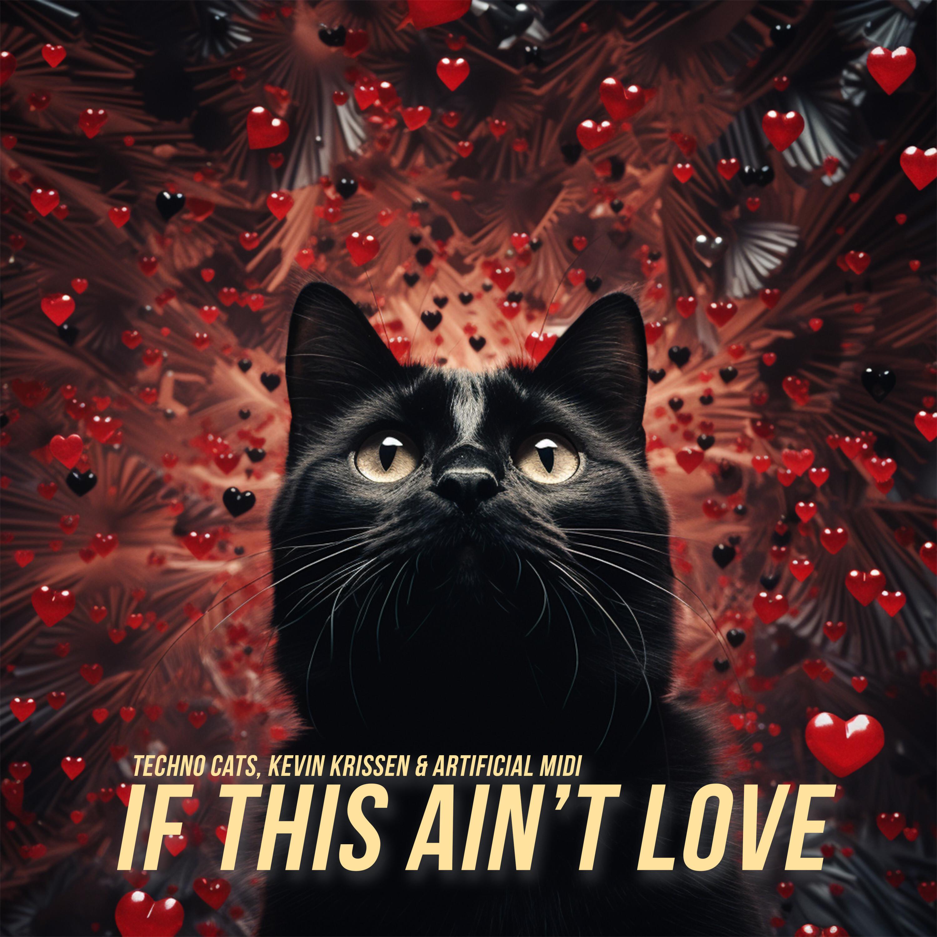 Techno Cats - If This Ain't Love (Extended Mix)