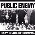 Hazy Shade of Criminal