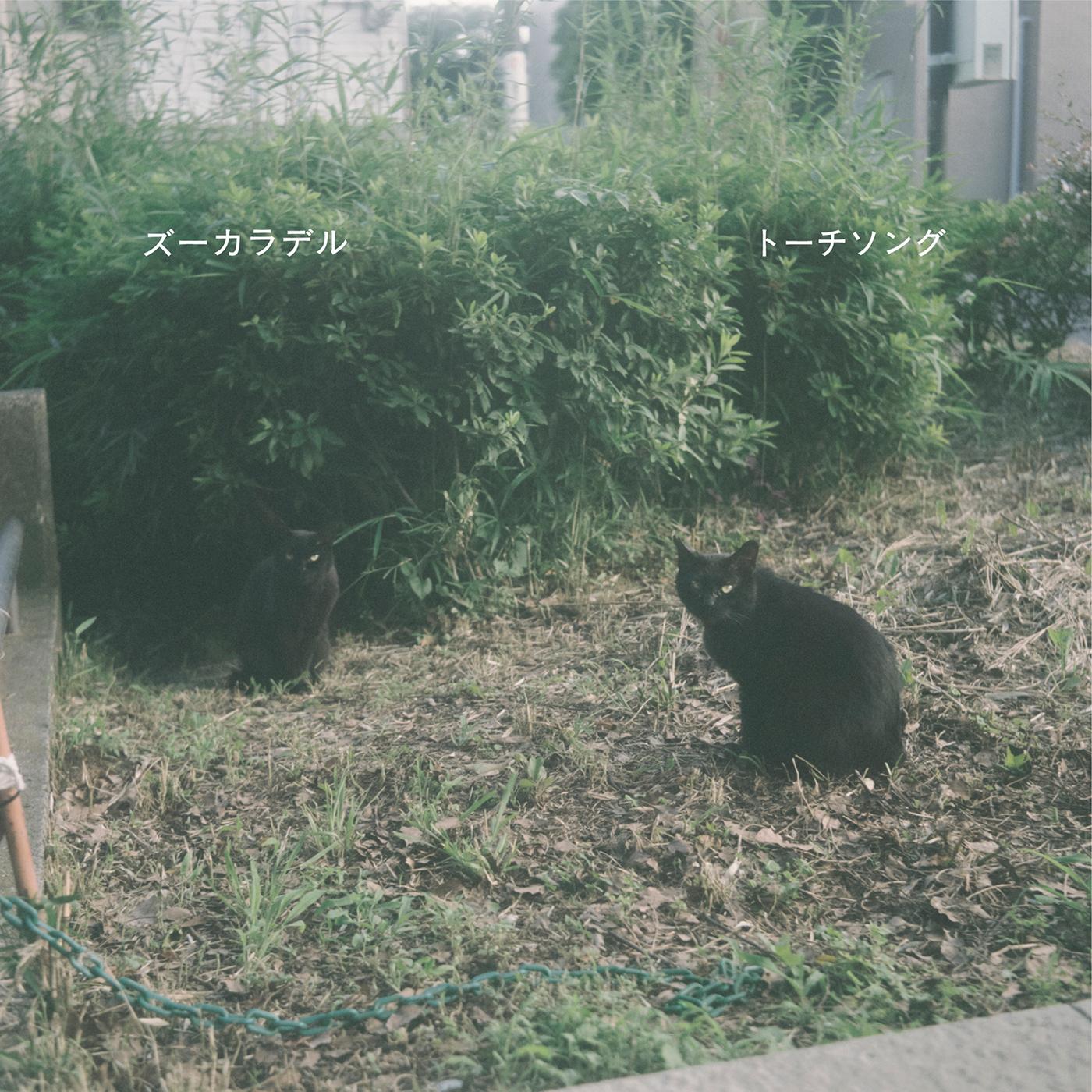 トーチソング