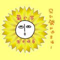 春色惊鸿312八周岁生日快乐