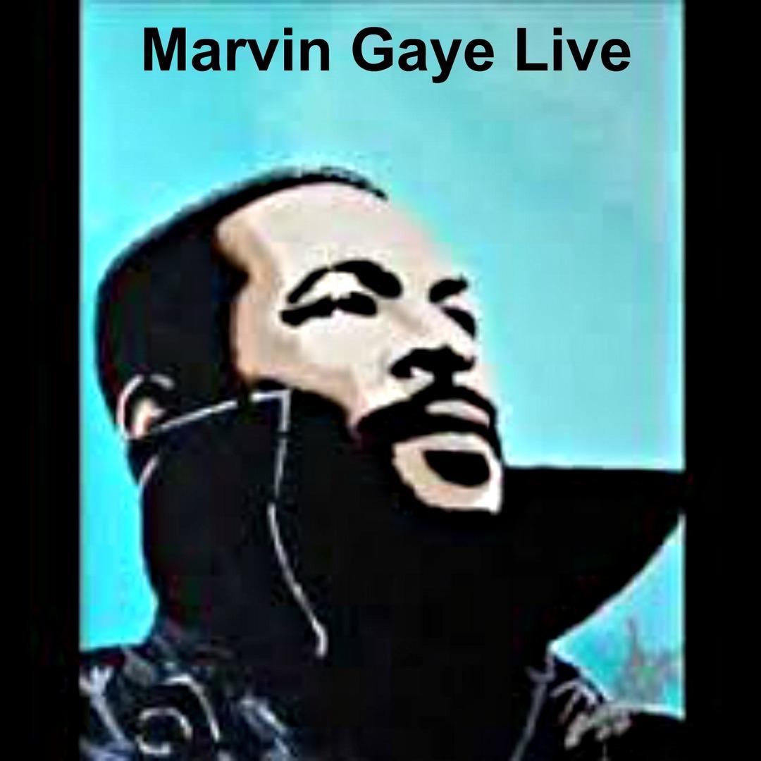 Marvin Gaye Live