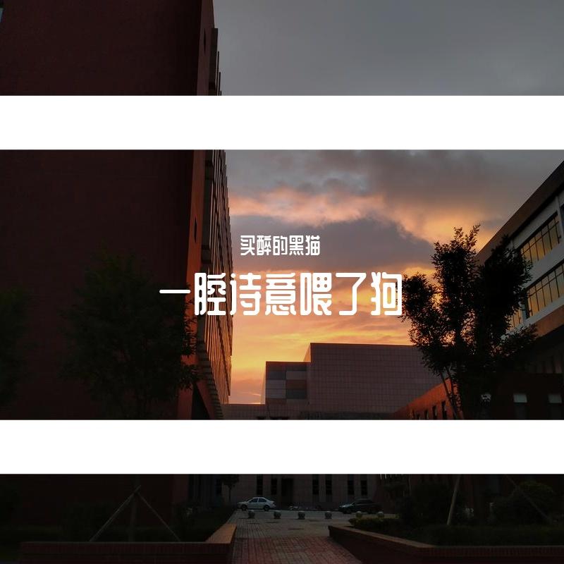 《一腔诗意喂了狗》