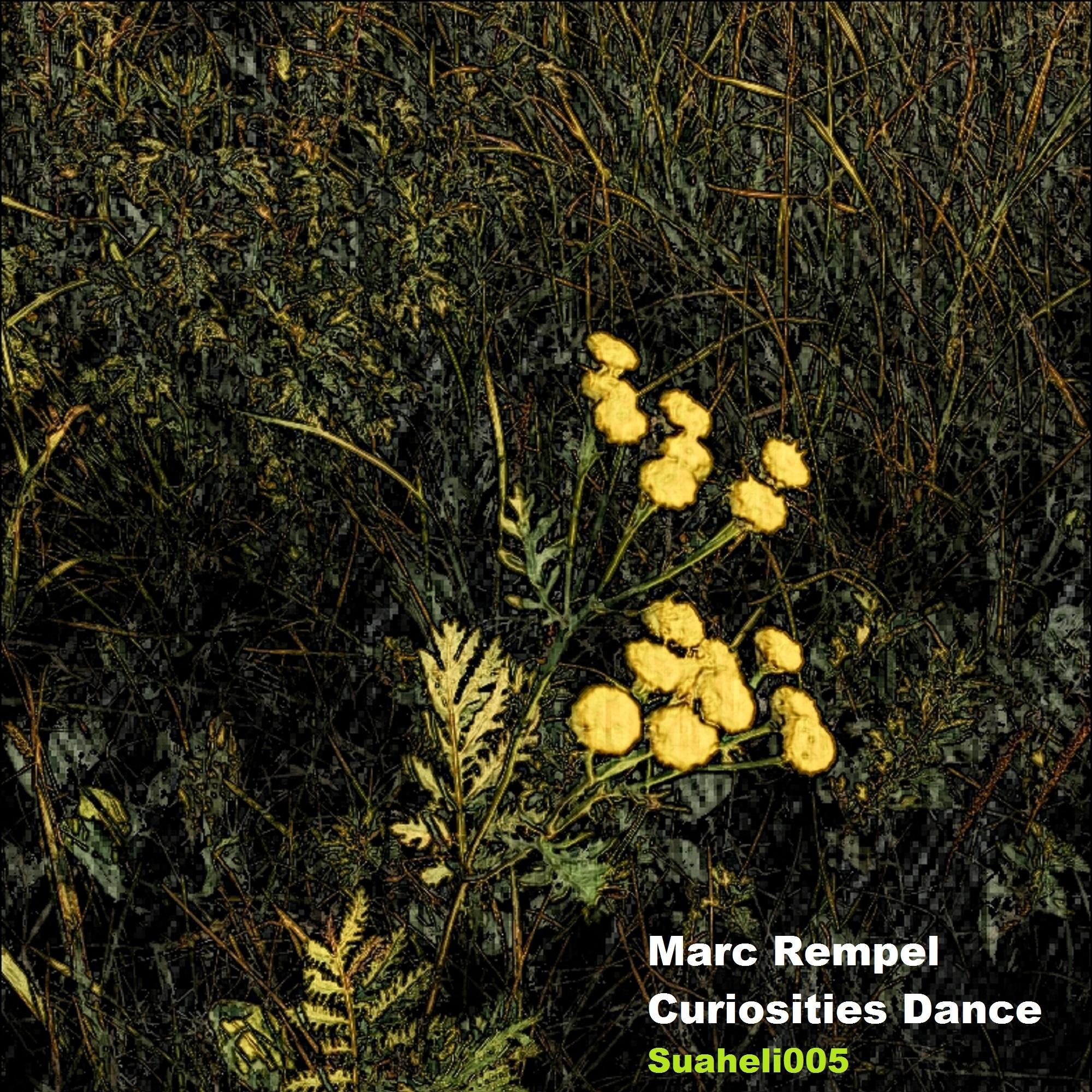 Curiosities Dance