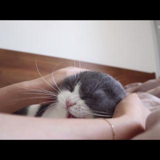 子时当归 | VLOG BGM「持更」^ ^
