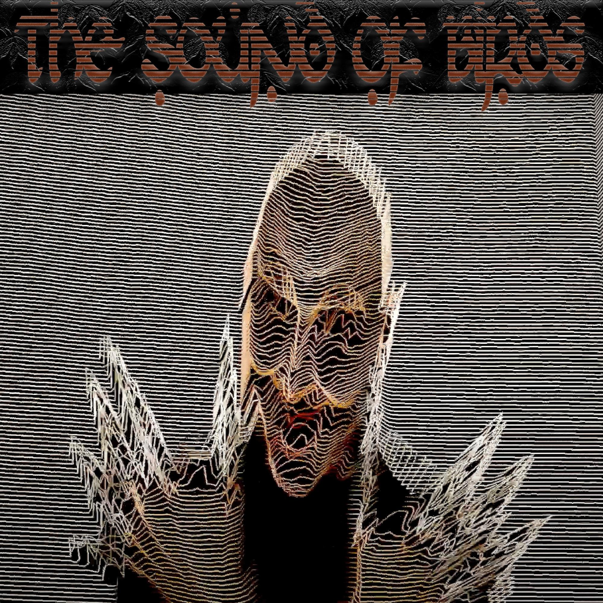 The Sound of Birds