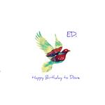 ED（Happy Birthday to Dove)专辑