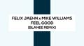 Feel Good (Blanee Remix)专辑