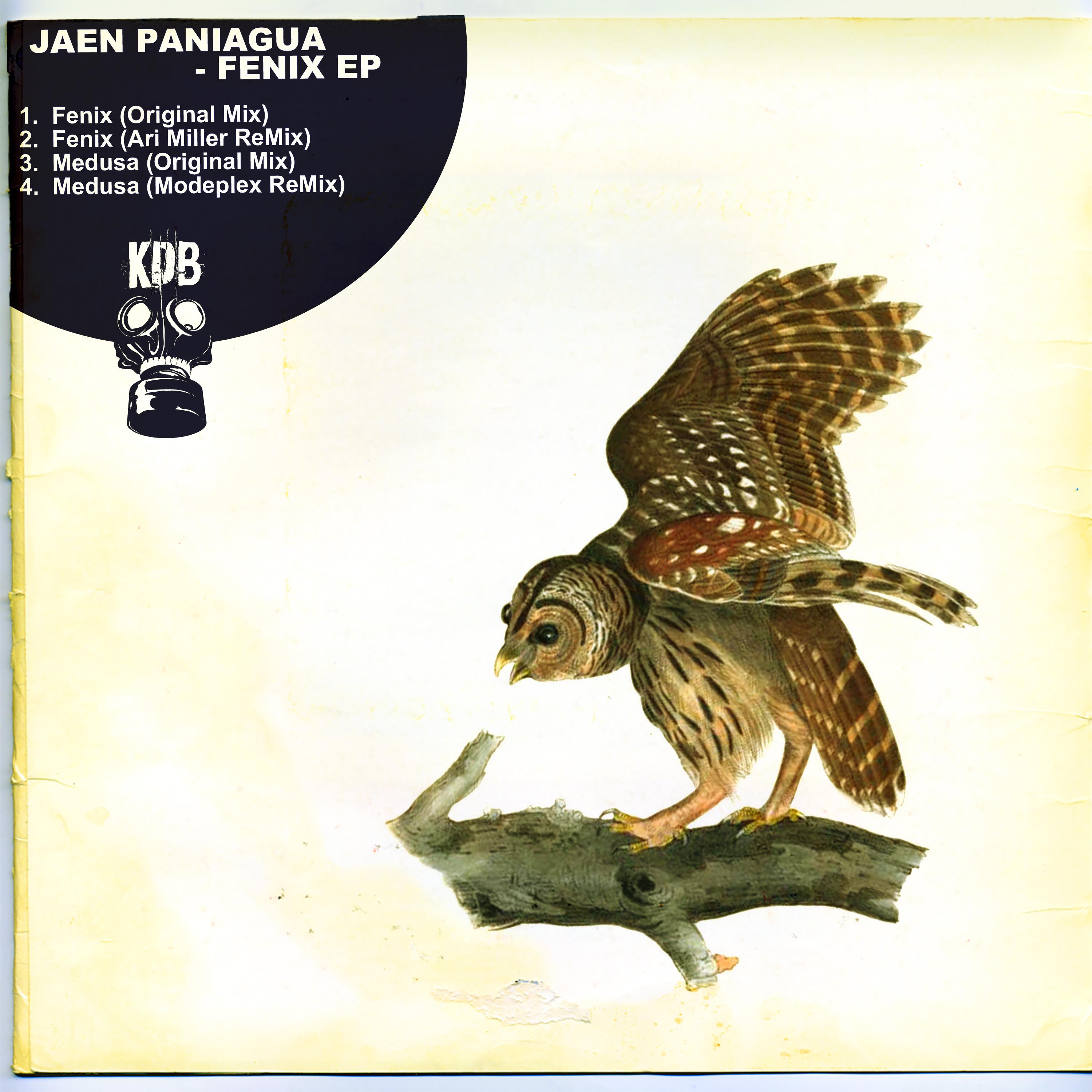 Jaen Paniagua - Fenix (Ari Miller Remix)