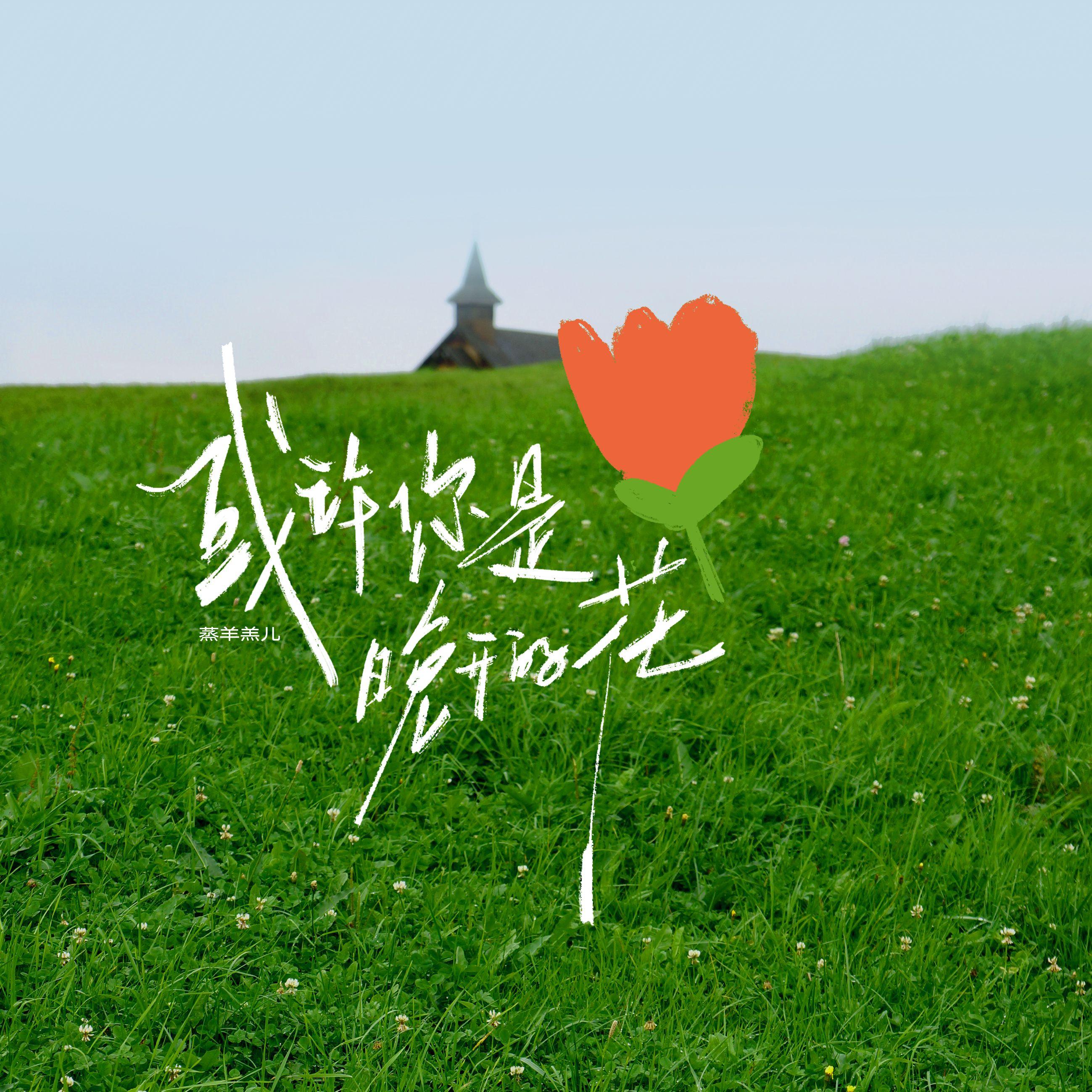 或许你是晚开的花