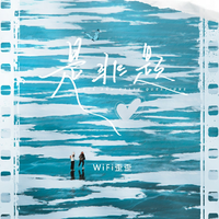 WiFi歪歪 - 是非题2023