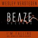 I'm Falling (Ron van Den Beuken Remix)专辑