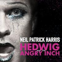 Hedwig & The Angry Inch - Hedwig's Lament (KV Instrumental) 无和声伴奏