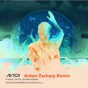 Fade Into Darkness Remix