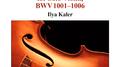 BACH, J.S.: Sonatas and Partitas for Solo Violin, BWV 1001-1006 (Kaler)专辑