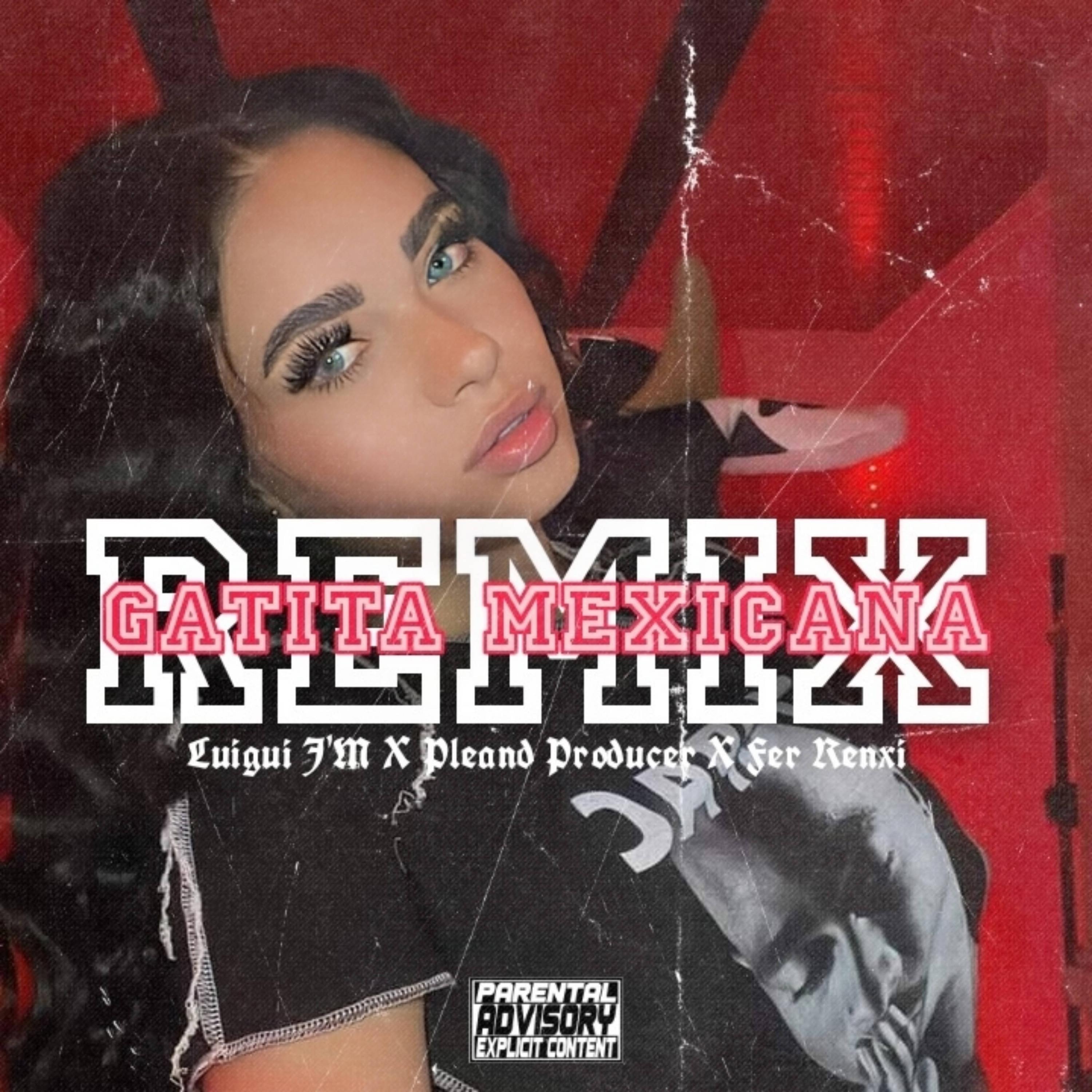 Luigui Mami - Gatita Mexicana (feat. Fer Renxi & Pleand Producer) (Remix)