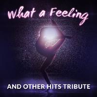 What A Feeling - Alex Gaudino feat. Kelly Rowl (unofficial instrumental)