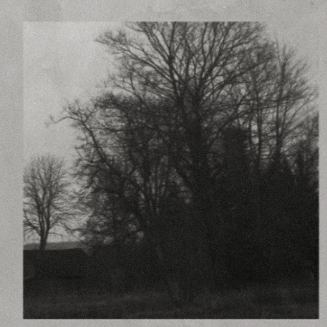 Sounds of Desolation