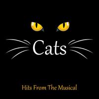 Cats - Jellicle Songs For Jellicle Cats (Karaoke version)