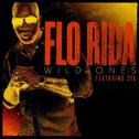 Wild Ones (Feat. Sia)专辑