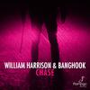 William Harrison - Chase (Radio Edit)