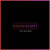 JVLA - Goosebumps (TBT Remix)