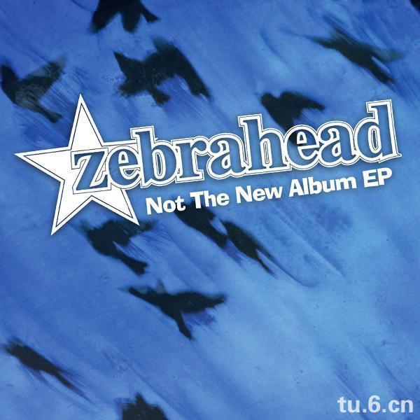 Not the New Album