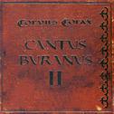 Cantus Buranus 2专辑