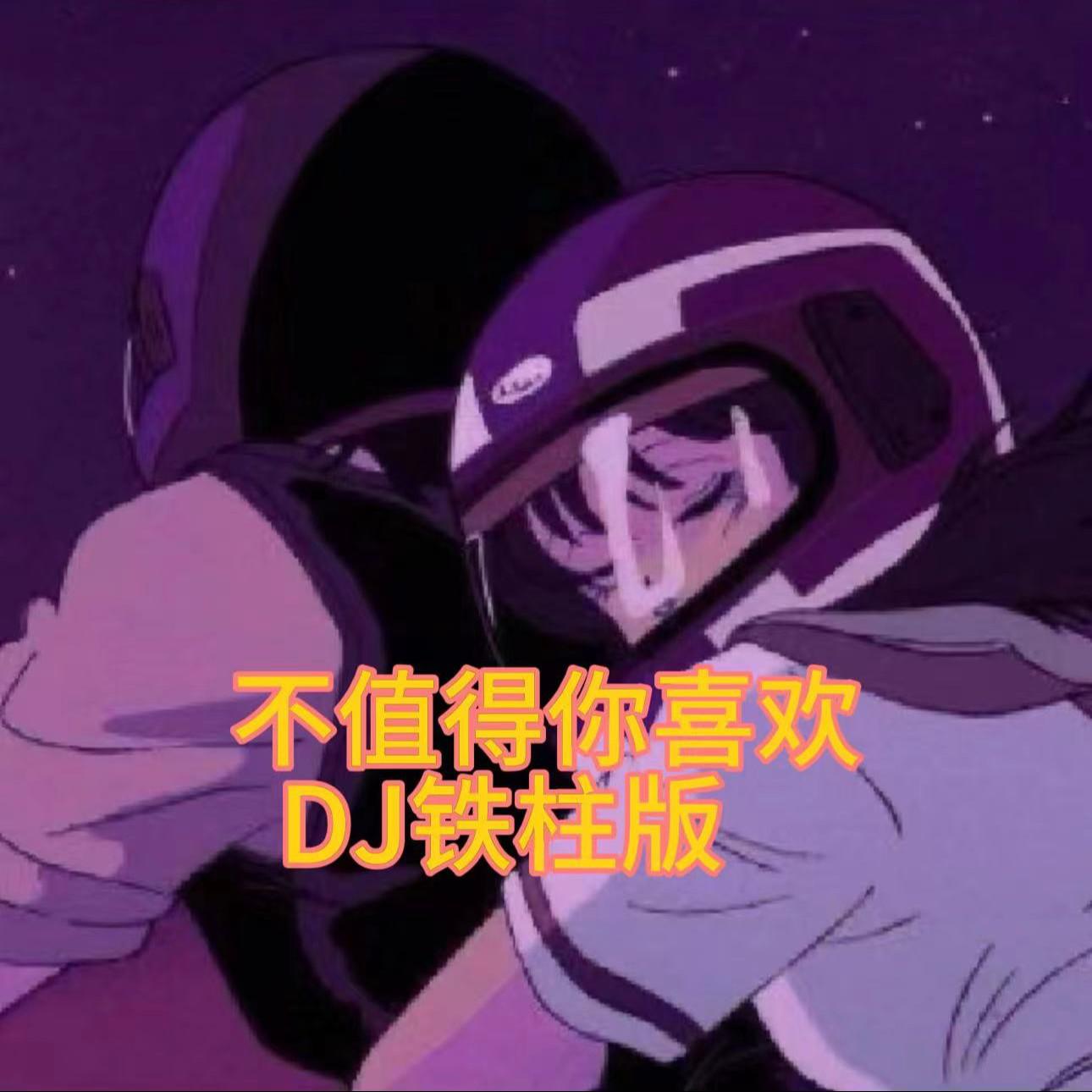不值得你喜欢（DJ铁柱版）