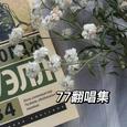 77翻唱集
