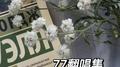 77翻唱集专辑