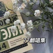 77翻唱集