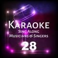 Karaoke Sing Along Musicians & Singers, Vol. 28