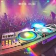 撒奇摇（DJ版）