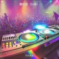 撒奇摇（DJ版）专辑