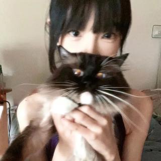 思绪回到去年冬 马上又是一年冬