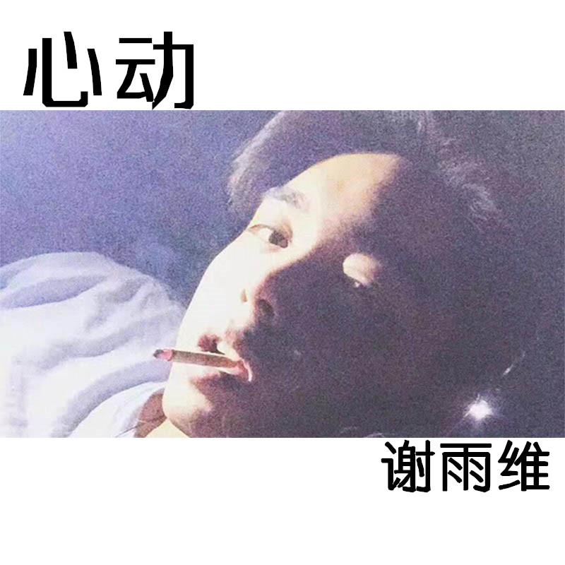 谢雨维 - 心动