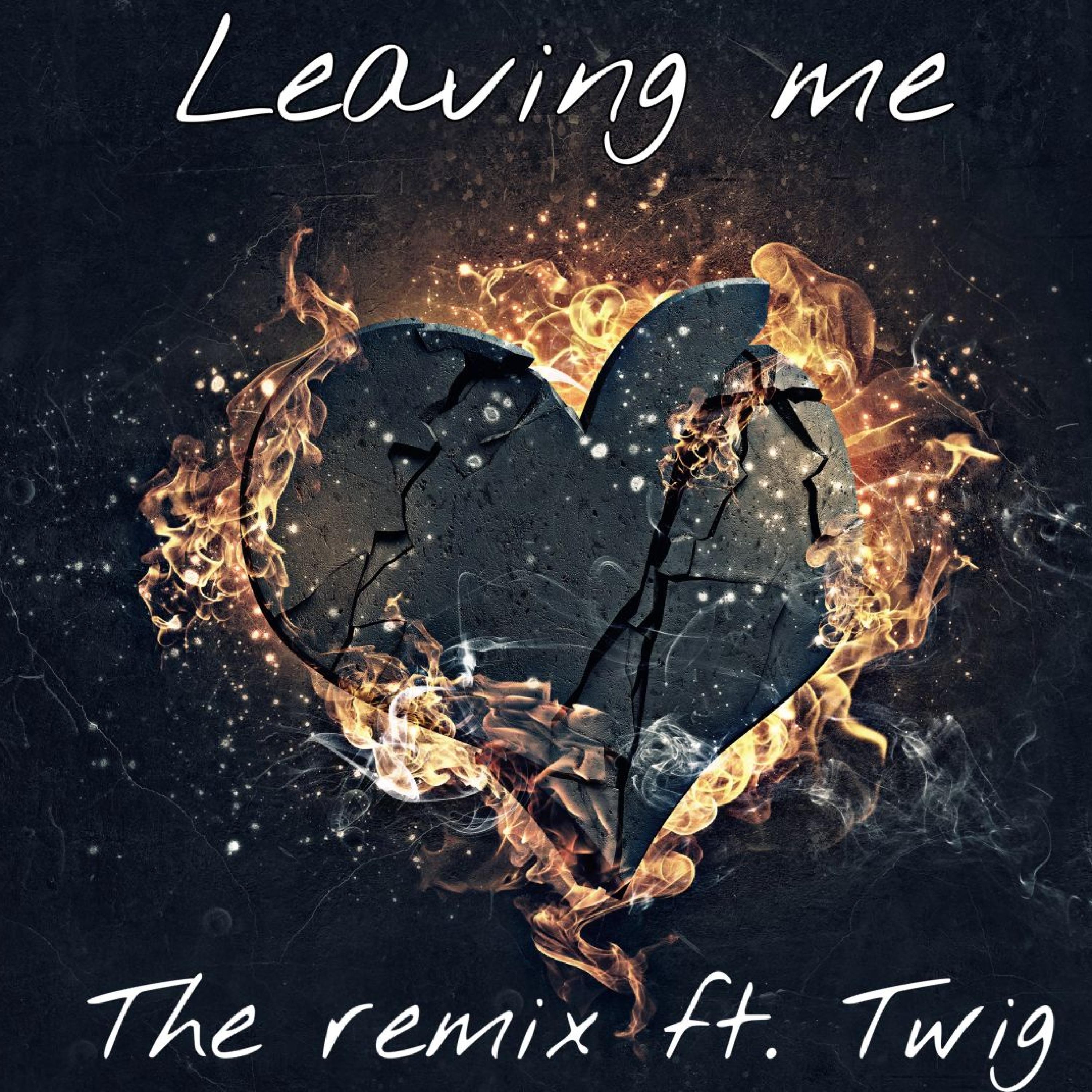 leaving me (feat. Twig) [remix]