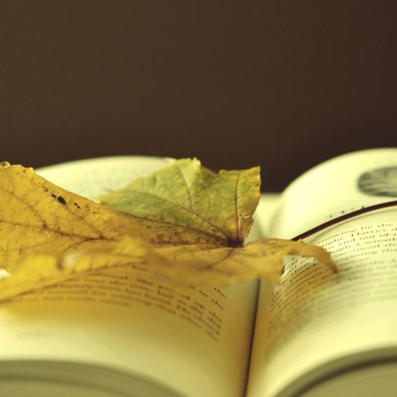 三个航海短语(2/3)